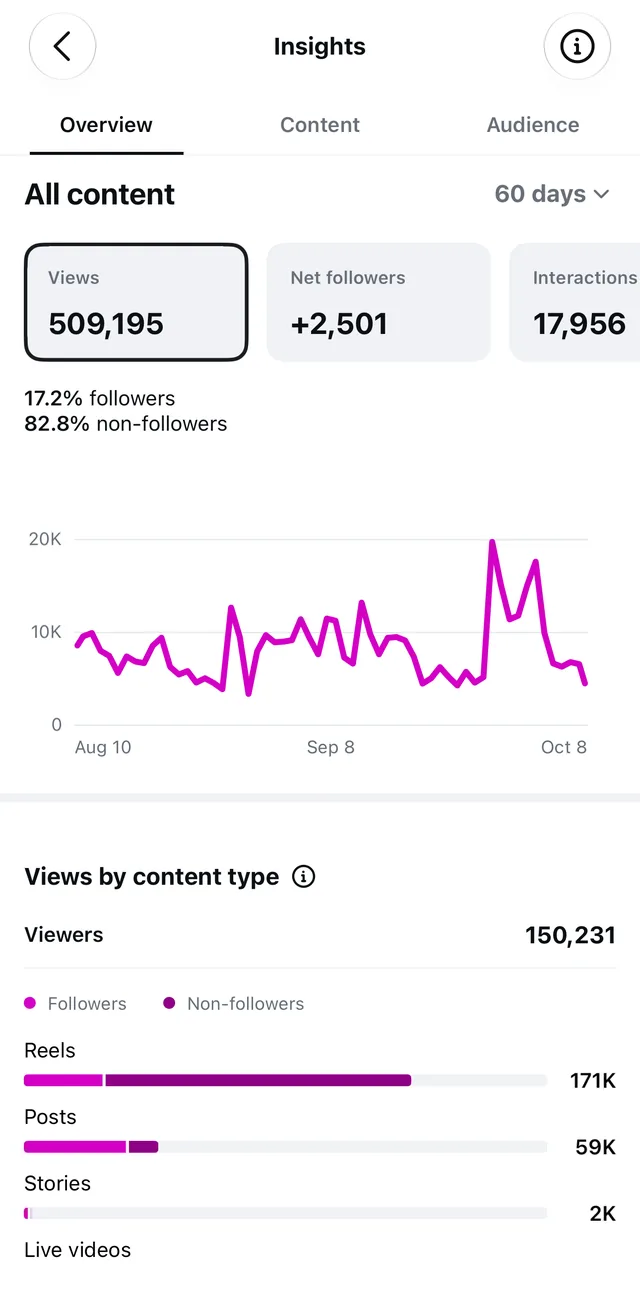 Instagram Insights, last 60 days: 509,195 views · +2,501 followers · 17,956 interactions