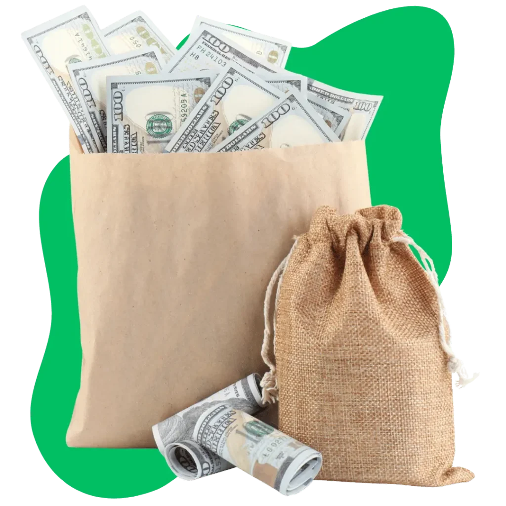 A paper bag and a burlap sack filled with money, with more rolled-up bills next to them, representing the financial benefits and cost savings of our ADA compliance solutions.