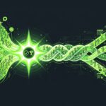 Customer Journey vs User Journey: How to Use Both to&hellip;